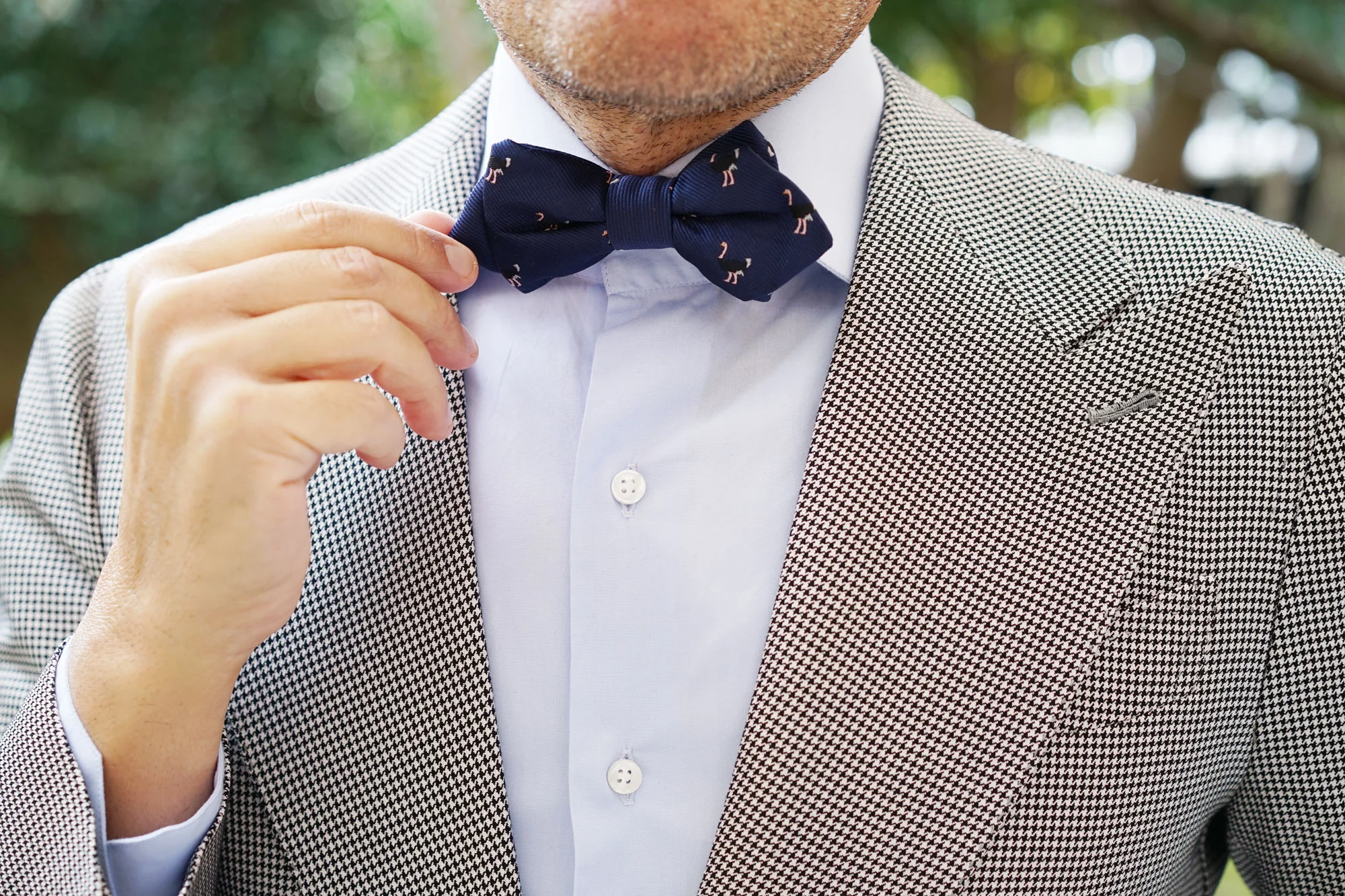 African Ostrich Diamond Bow Tie - Image 6