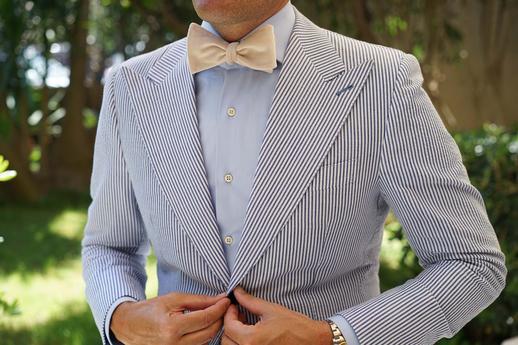 Beige Velvet Self Bow Tie - Image 4