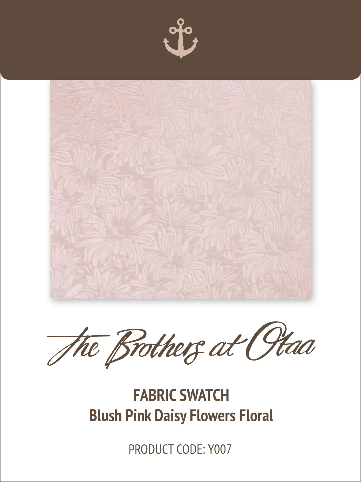 Fabric Swatch (Y007) - Blush Pink Daisy Flowers Floral