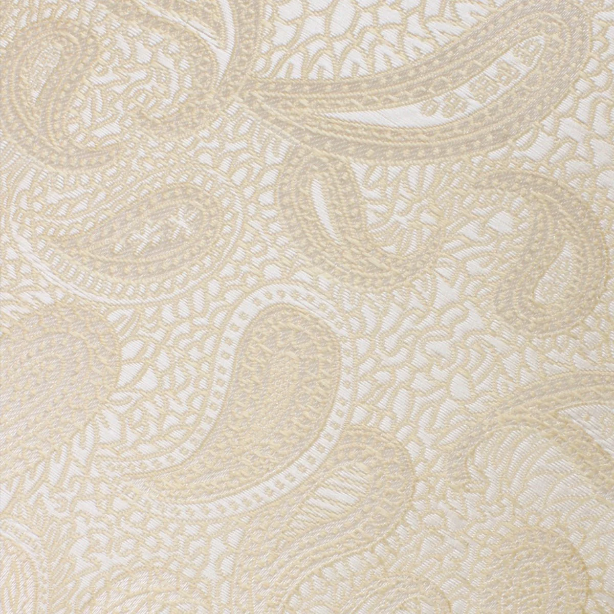 Fabric Swatch (Y022) - Champagne Desert Paisley - Image 2