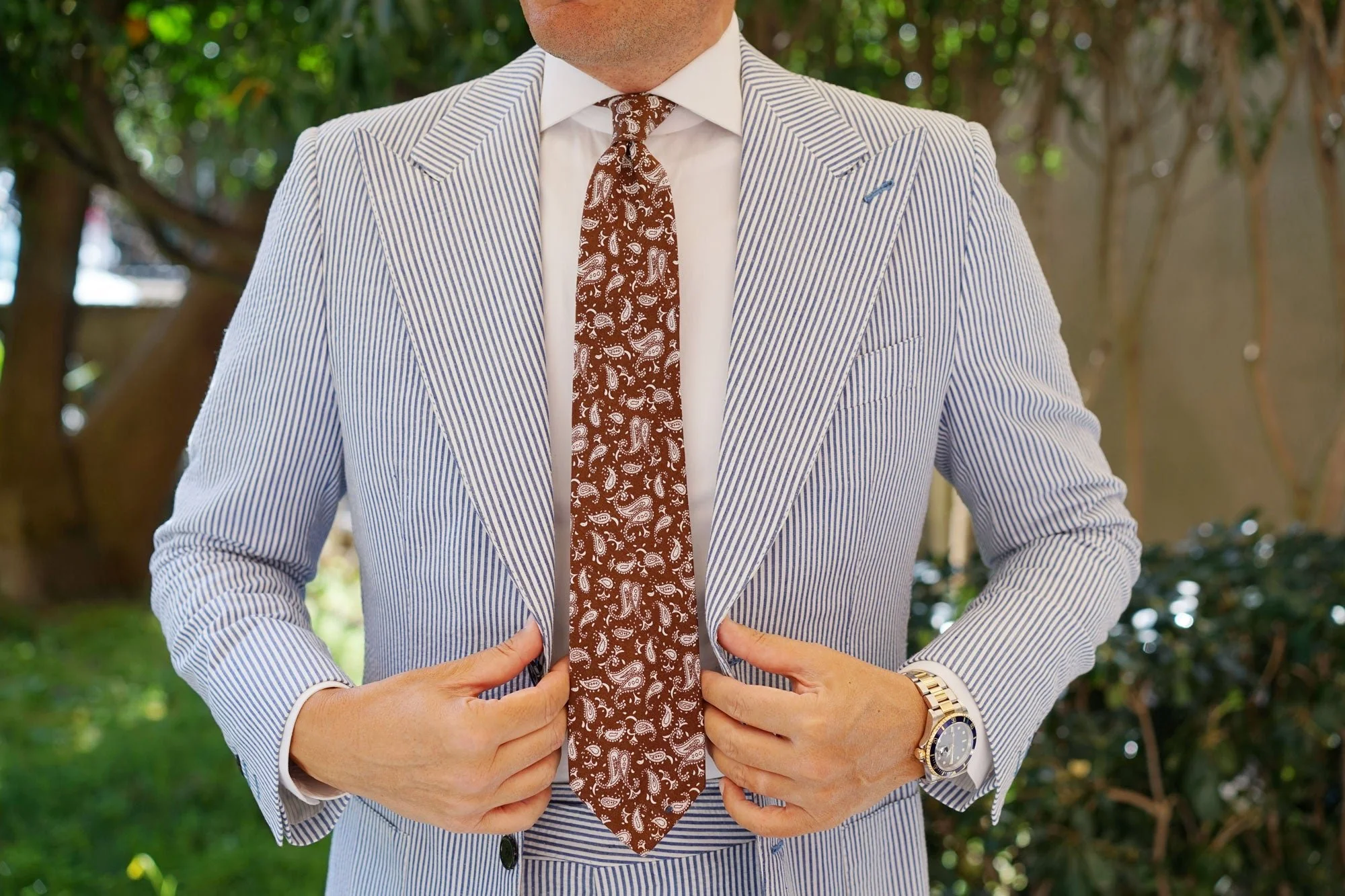Florence Paisley Brown Tie - Image 4