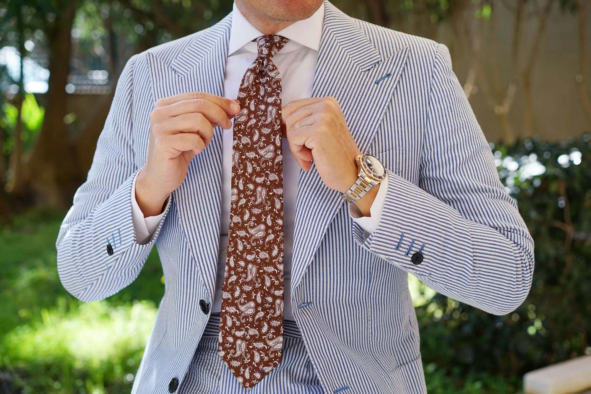 Florence Paisley Brown Tie - Image 6