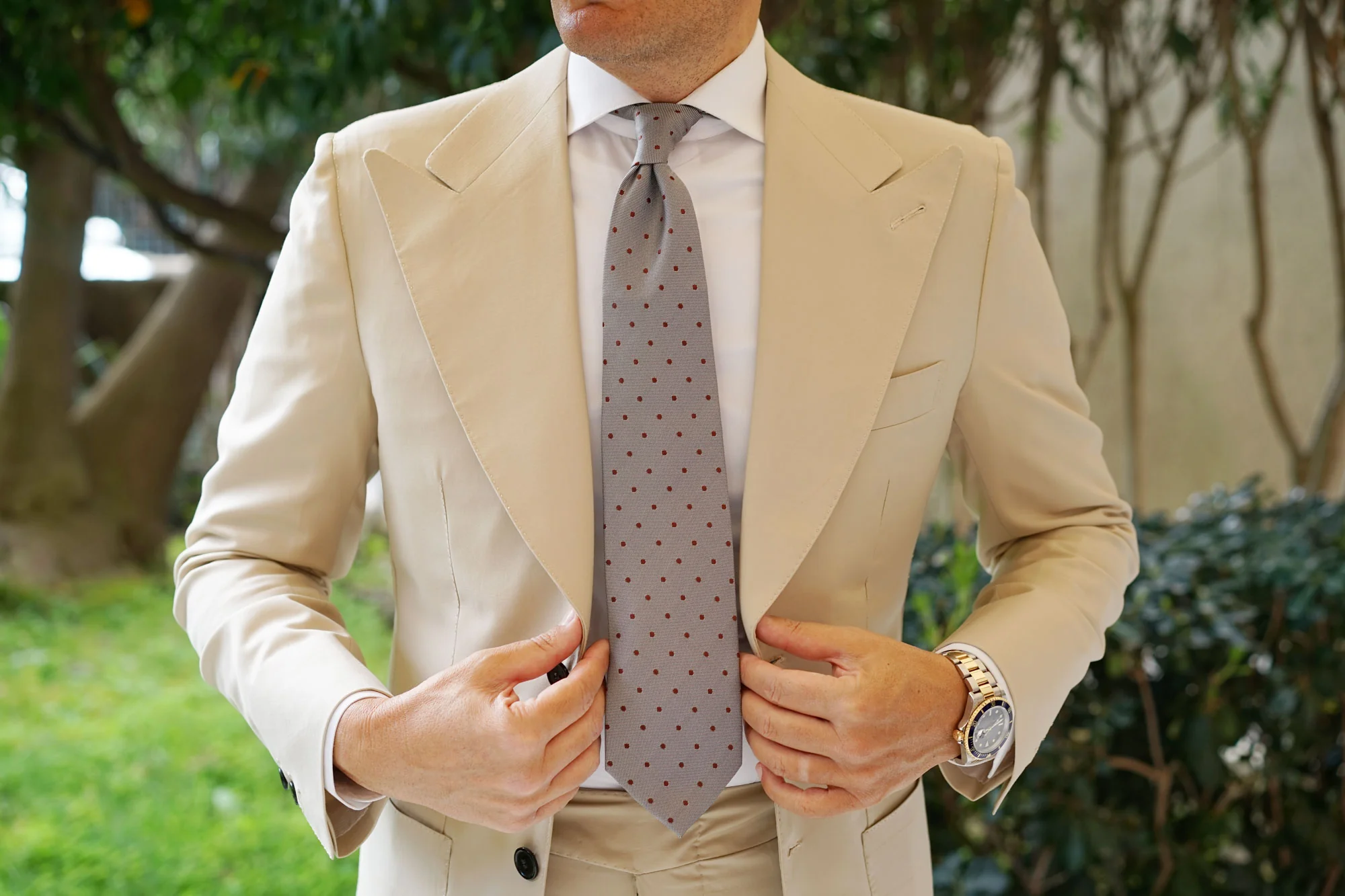 Grey with Brown Polka Dots Necktie - Image 5