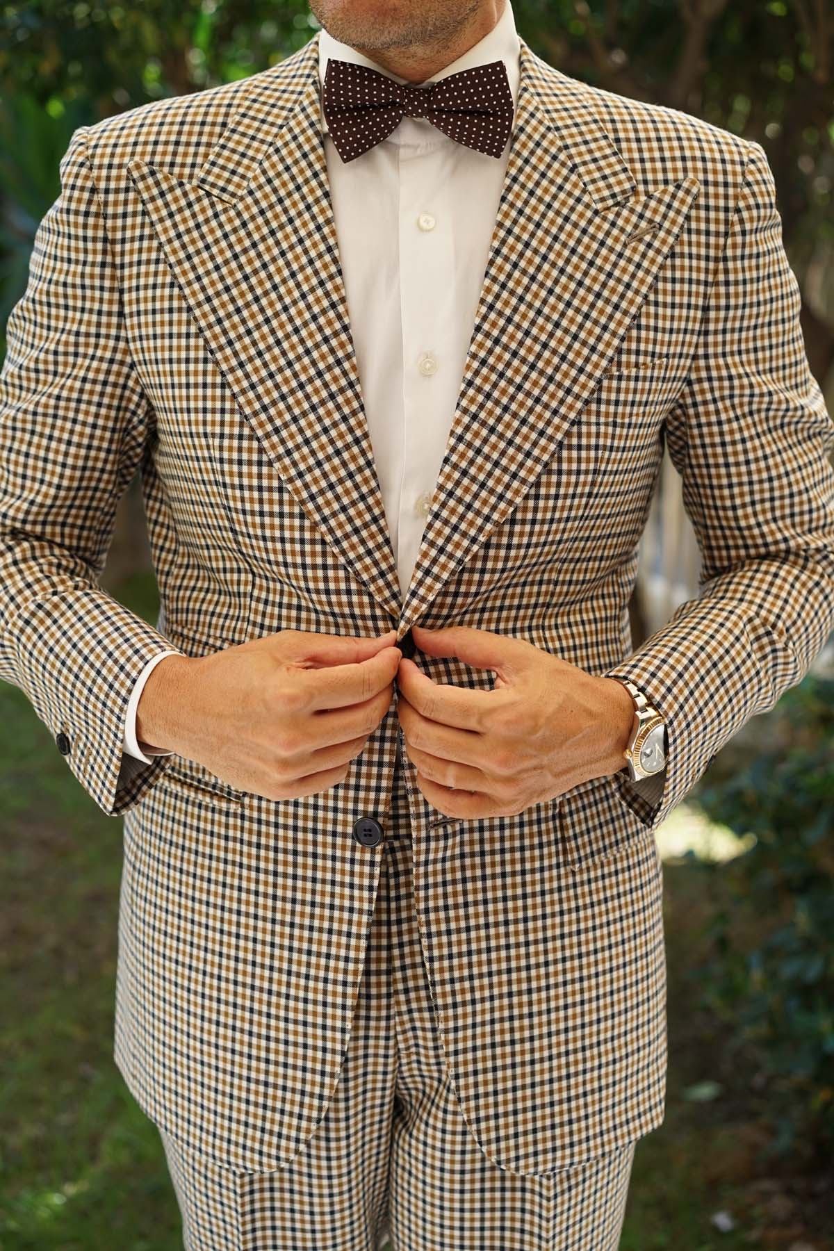Lungo Brown Polkadot Cotton Bow Tie - Image 4
