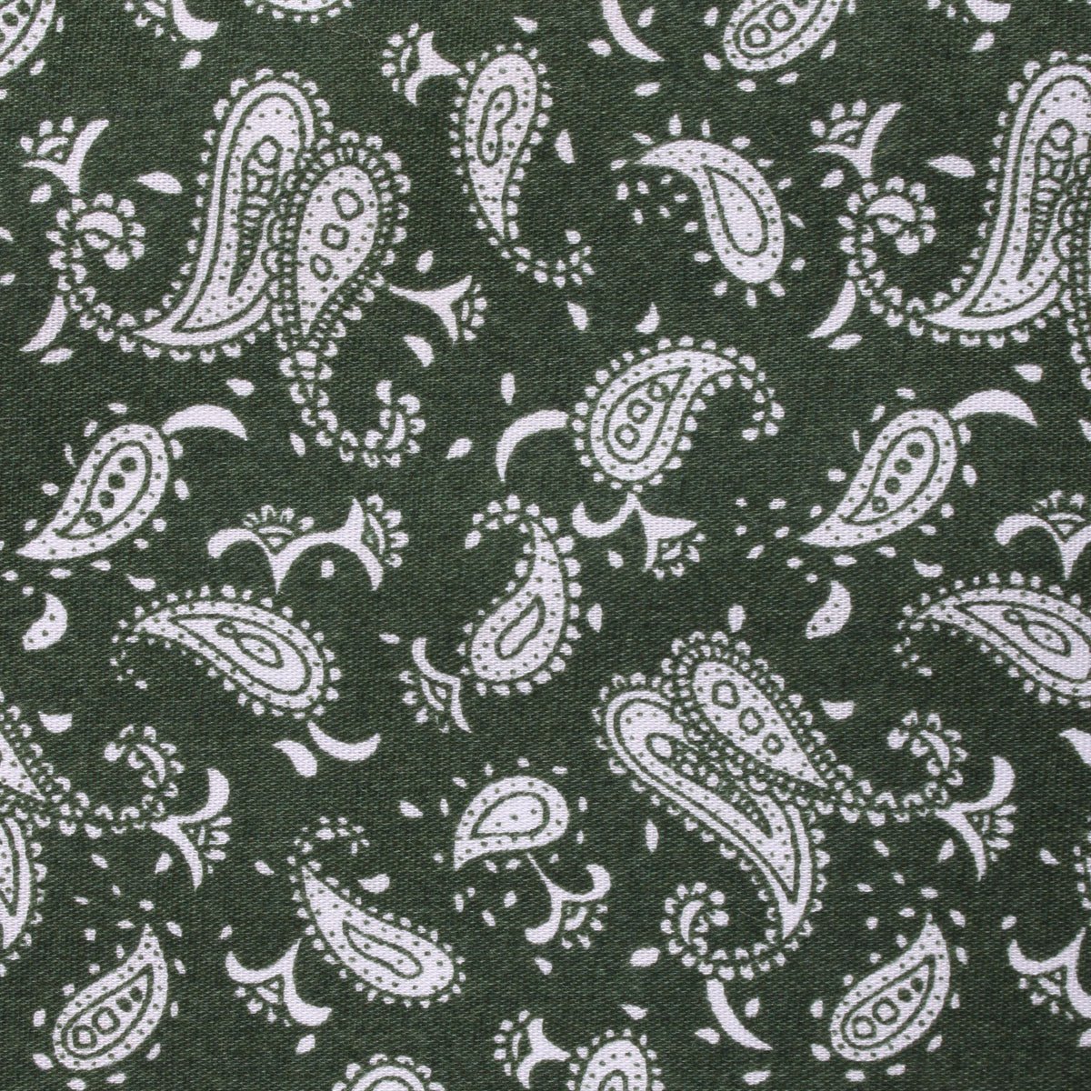 Milan Paisley Green Kids Bow Tie - Image 2