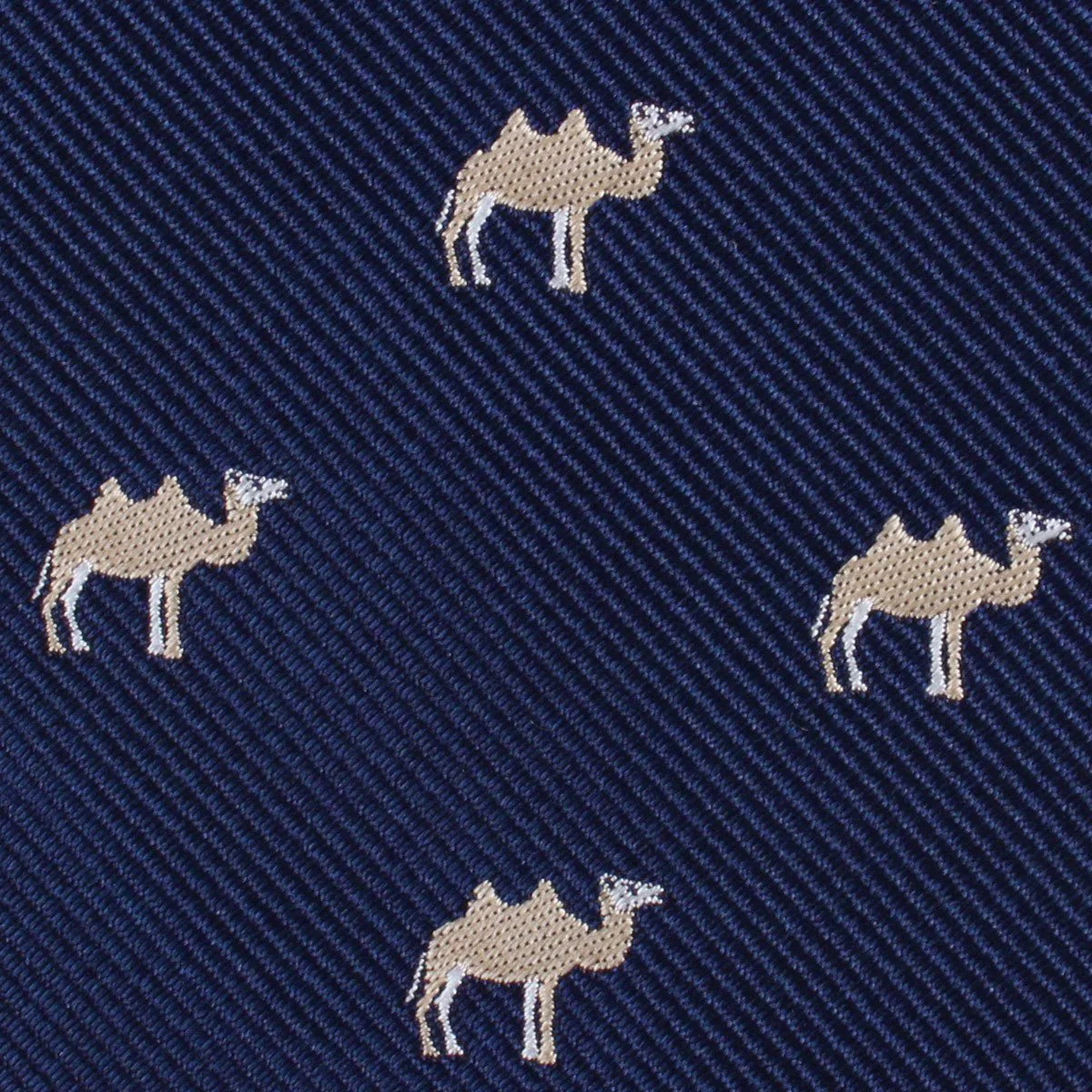 Mongolian Camel Tie - Image 3