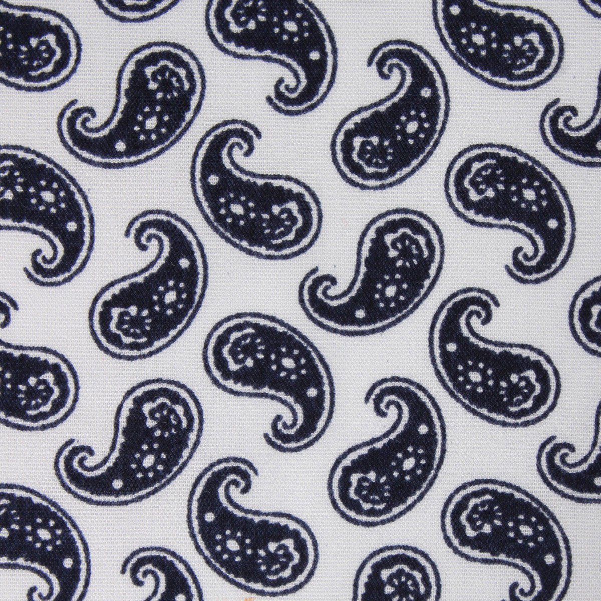 Picasso White on Blue Paisley Skinny Tie - Image 3